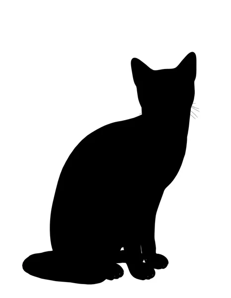 Katten illustration siluett — Stockfoto