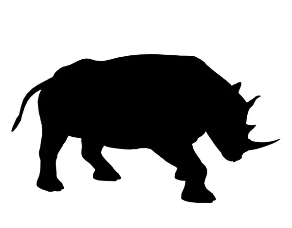 Ρινόκερος εικονογράφηση σιλουέτα — Φωτογραφία Αρχείου
