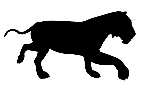 Lion illustration siluett — Stockfoto