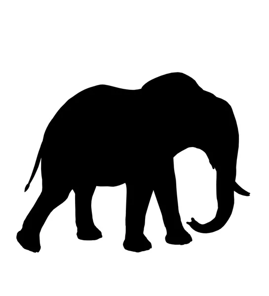 Ελέφαντας εικονογράφηση σιλουέτα — Φωτογραφία Αρχείου