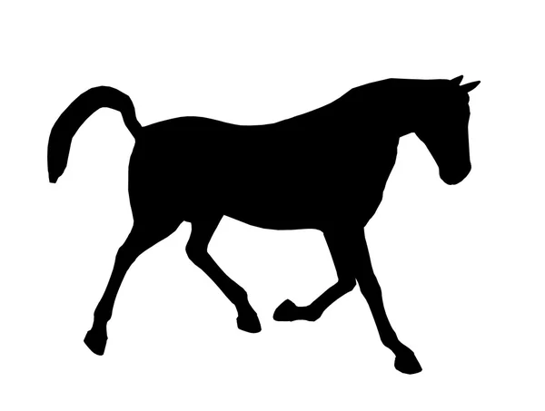 Кінь ілюстрація силует — стокове фото
