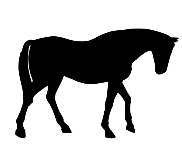 Häst illustration siluett — Stockfoto