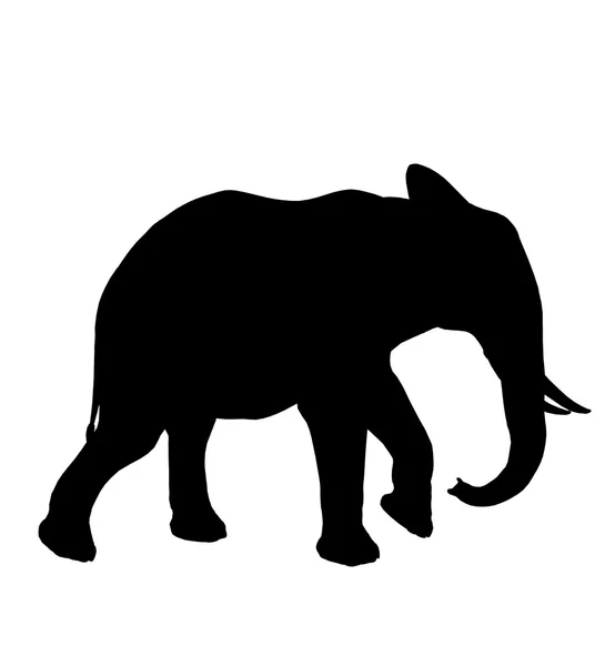 Silhouette d'illustration d'éléphant — Photo