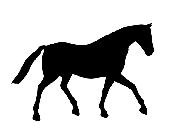 Кінь ілюстрація силует — стокове фото