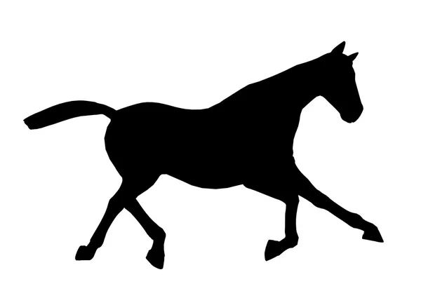 Ilustração de Cavalo Silhueta — Fotografia de Stock
