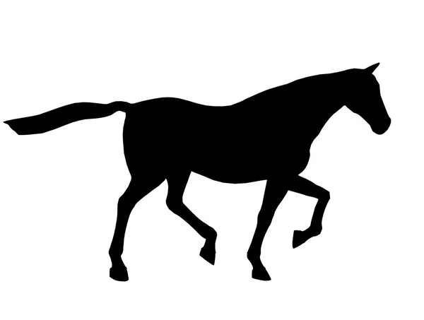 Häst illustration siluett — Stockfoto