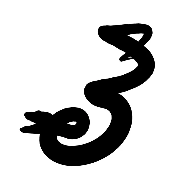 蛇插画剪影 — 图库照片