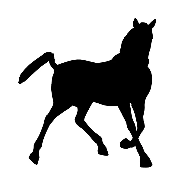 Άλογο εικονογράφηση σιλουέτα — Φωτογραφία Αρχείου
