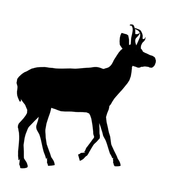 鹿の図のシルエット — ストック写真