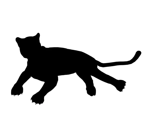 Panther illustratie silhouet — Stockfoto