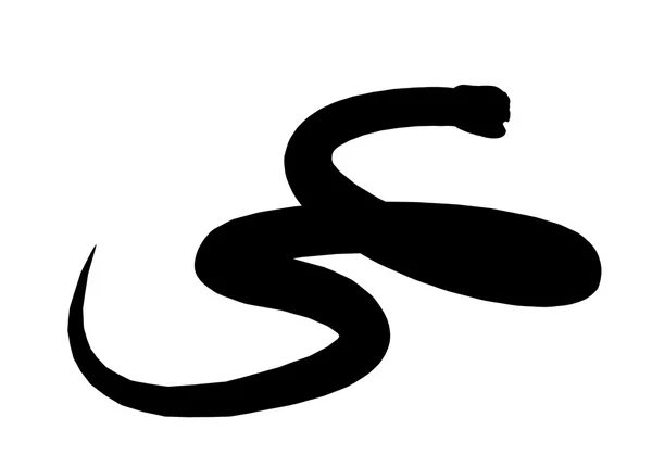 Silhueta de ilustração de serpente — Fotografia de Stock