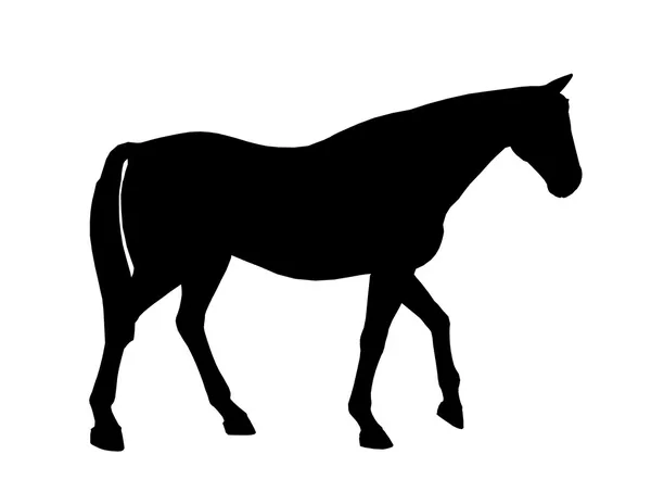 Άλογο εικονογράφηση σιλουέτα — Φωτογραφία Αρχείου