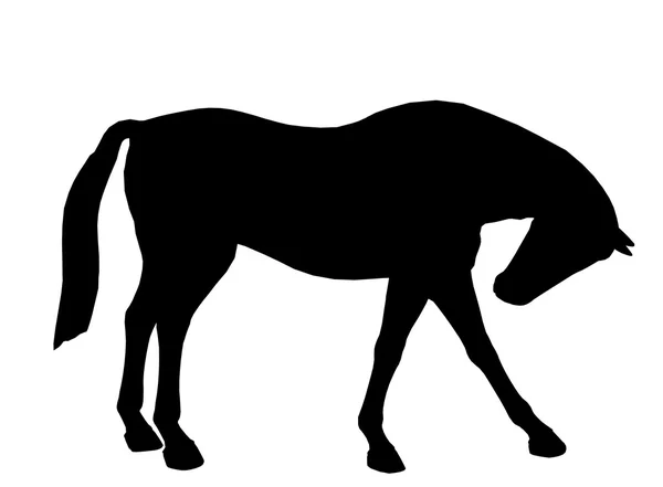 Koně ilustrace silhouette — Stock fotografie