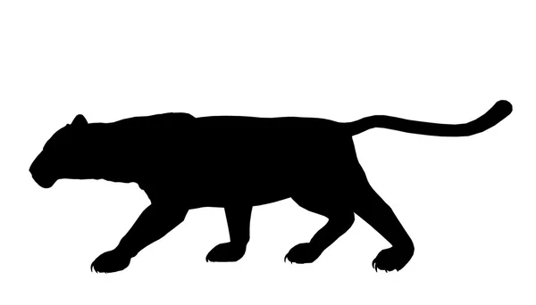 Pantera ilustracja sylwetka — Zdjęcie stockowe