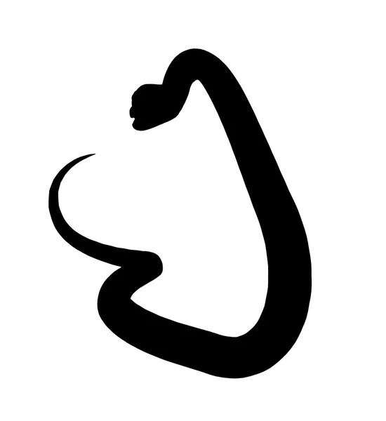 Εικονογράφηση Σκιαγραφία της φίδι — Φωτογραφία Αρχείου