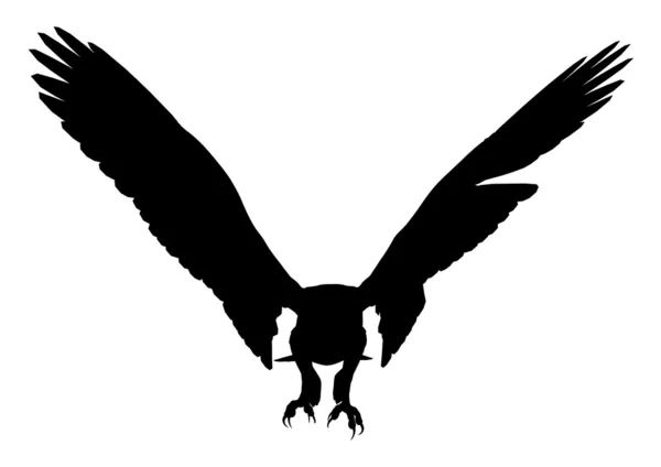 Silueta de Ilustración Águila — Foto de Stock
