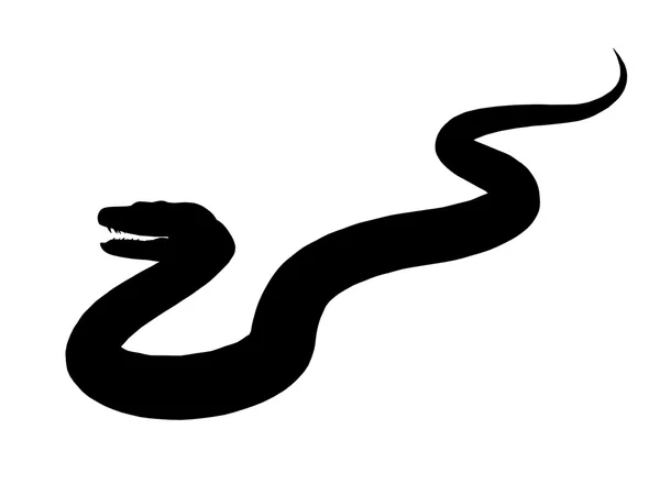 Silhueta de ilustração de serpente — Fotografia de Stock