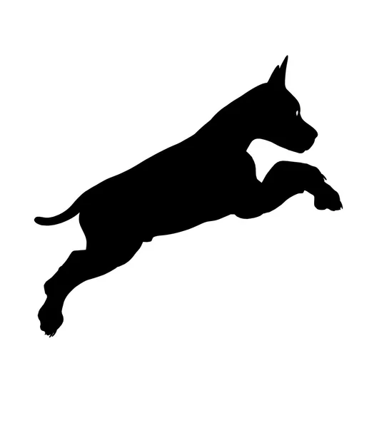 Yavru köpek illüstrasyon siluet — Stok fotoğraf