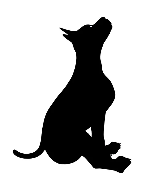 Štěně psa ilustrace silhouette — Stock fotografie