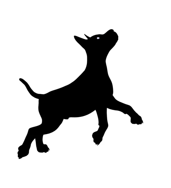Щеня собака ілюстрація силует — стокове фото