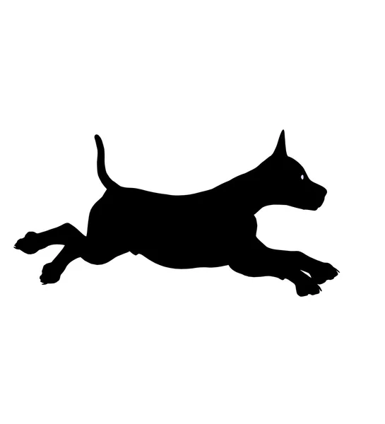 Силуэт щенка дога — стоковое фото