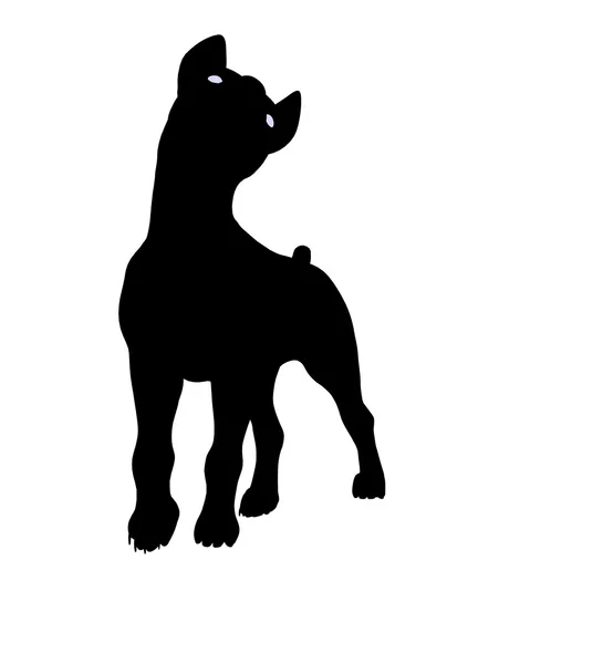 Puppy Dog Illustration Silhouette — Stock Photo, Image