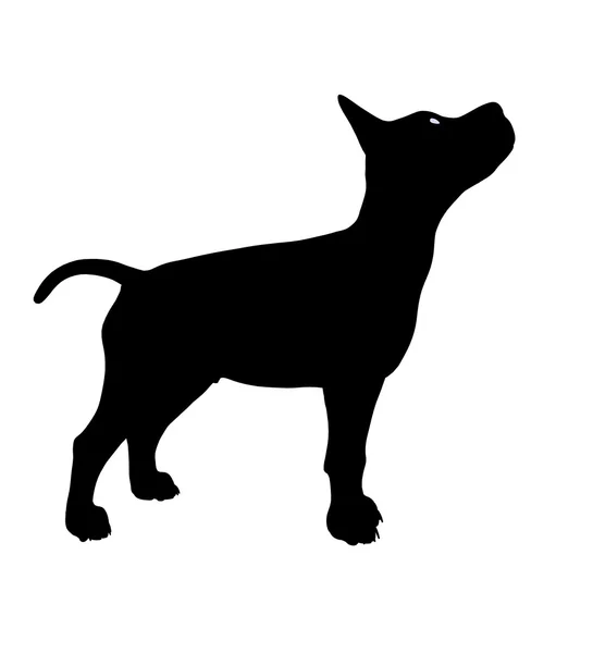 Perro cachorro ilustración silueta — Foto de Stock
