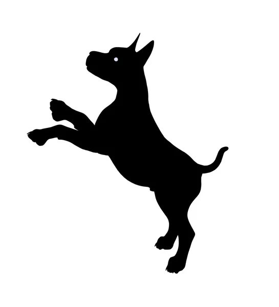 Štěně psa ilustrace silhouette — Stock fotografie