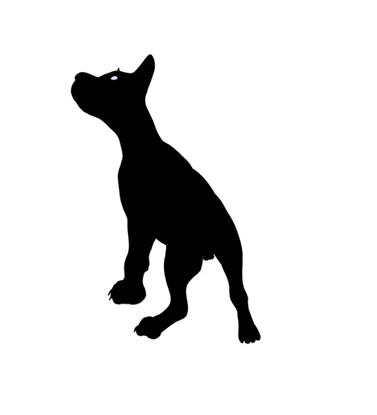 子犬犬の図のシルエット — ストック写真