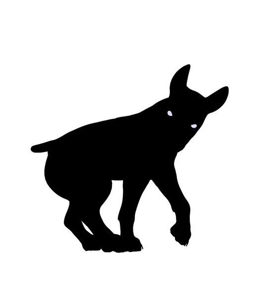 Szczeniak pies ilustracja sylwetka — Zdjęcie stockowe