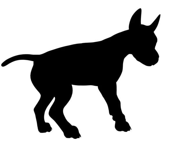 Puppy hond illustratie silhouet — Stockfoto
