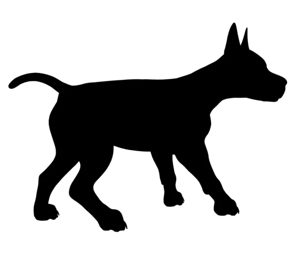Valp hund illustration siluett — Stockfoto