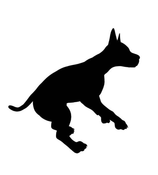 Perro cachorro ilustración silueta —  Fotos de Stock