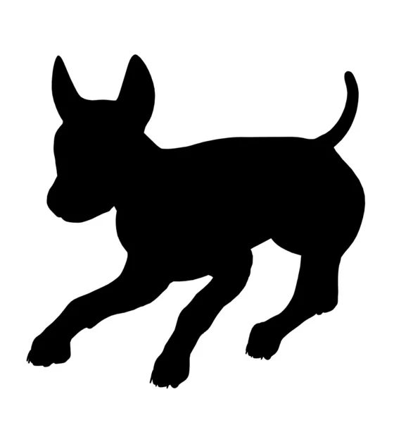 Chiot Chien Illustration Silhouette — Photo
