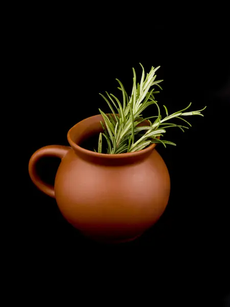 Ceașcă ceramică și rozmarin — Fotografie, imagine de stoc