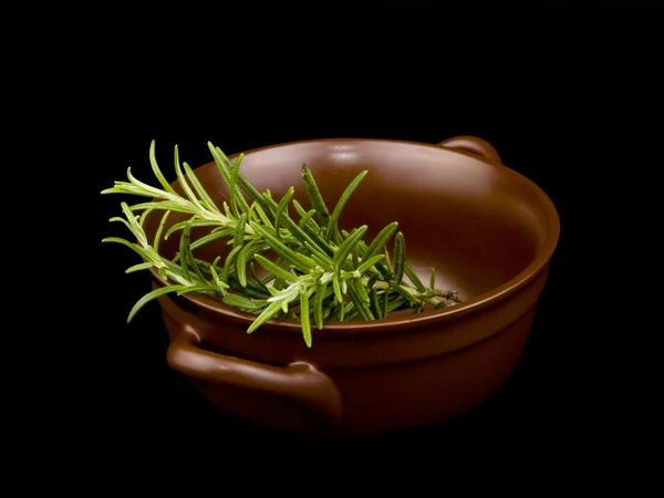 Rosemary dalam mangkuk keramik — Stok Foto