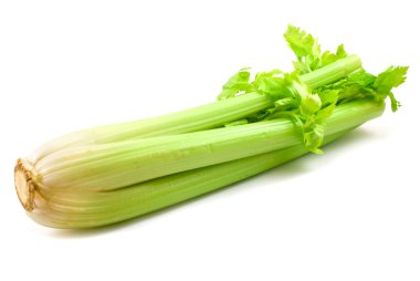 Celery clipart