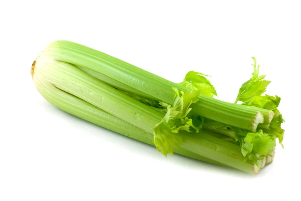 stock image Celery