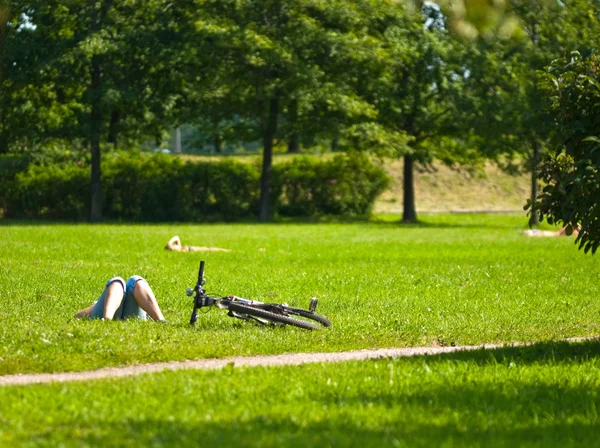 stock image Summer relax