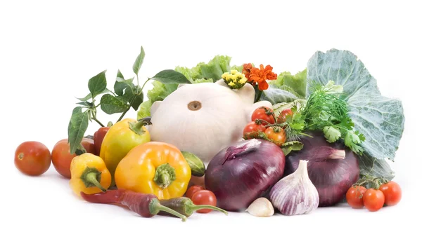 Zelenina na bílém pozadí — Stock fotografie