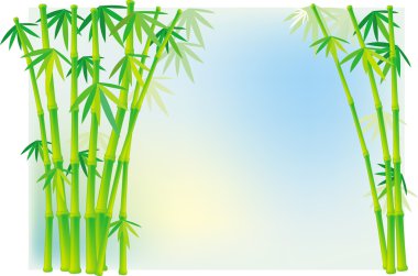 Background of bamboo stalks clipart