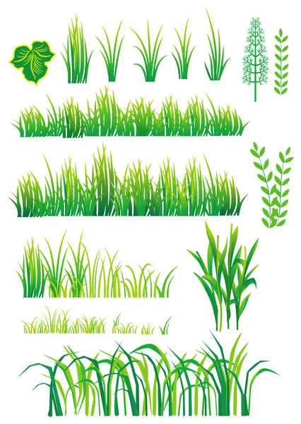 Green elements for design — Stock Vector