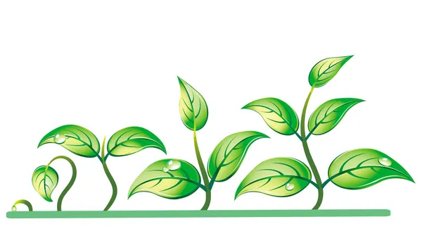 Progression av plantor tillväxt — Stock vektor