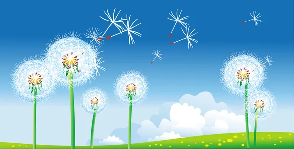 Spring landscape with dandelions — Stock Vector