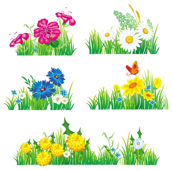 Fleurs et herbe — Image vectorielle