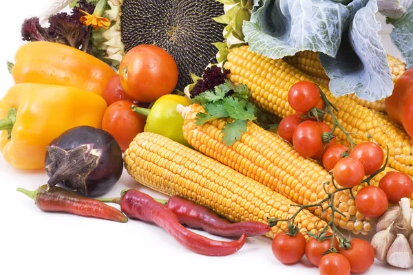 Vegetables on white background — Stock Photo, Image