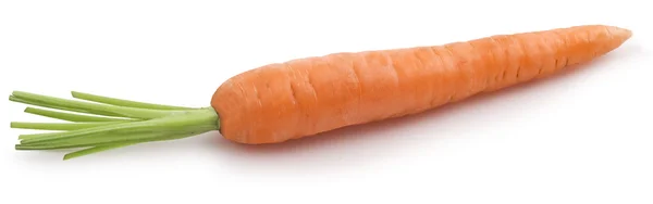 Zanahoria sobre fondo blanco —  Fotos de Stock