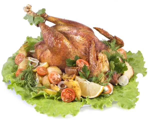 흰 바탕에 구운 닭고기 — 스톡 사진
