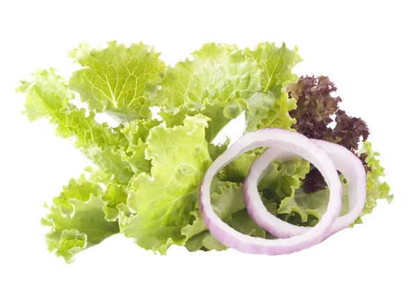 The lettuce and red onion — Stock Photo, Image