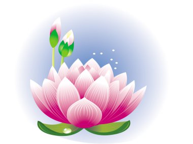 Lotus flower clipart